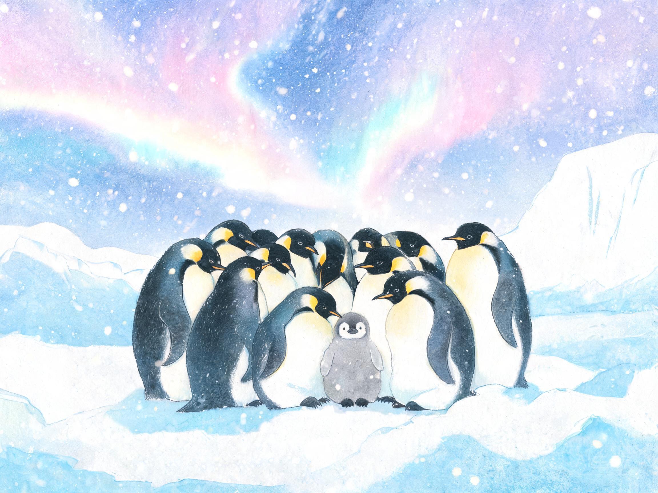 企鹅的冰雪生活