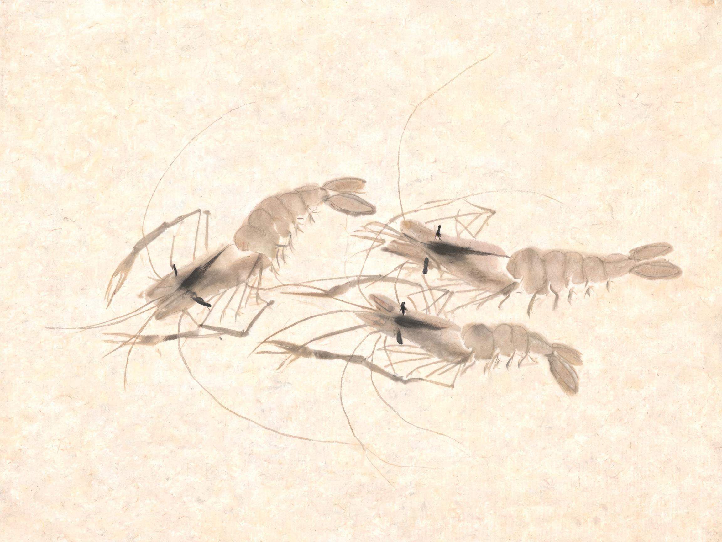 齐白石画虾